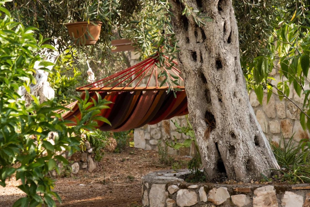 Filoxenia - The Place Of Experience Himare Luaran gambar