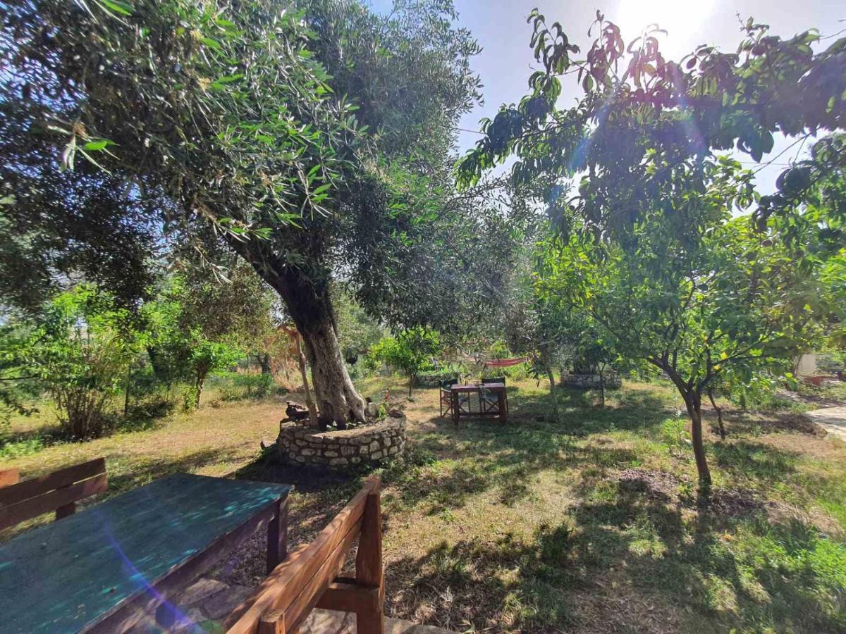 Filoxenia - The Place Of Experience Himare Luaran gambar