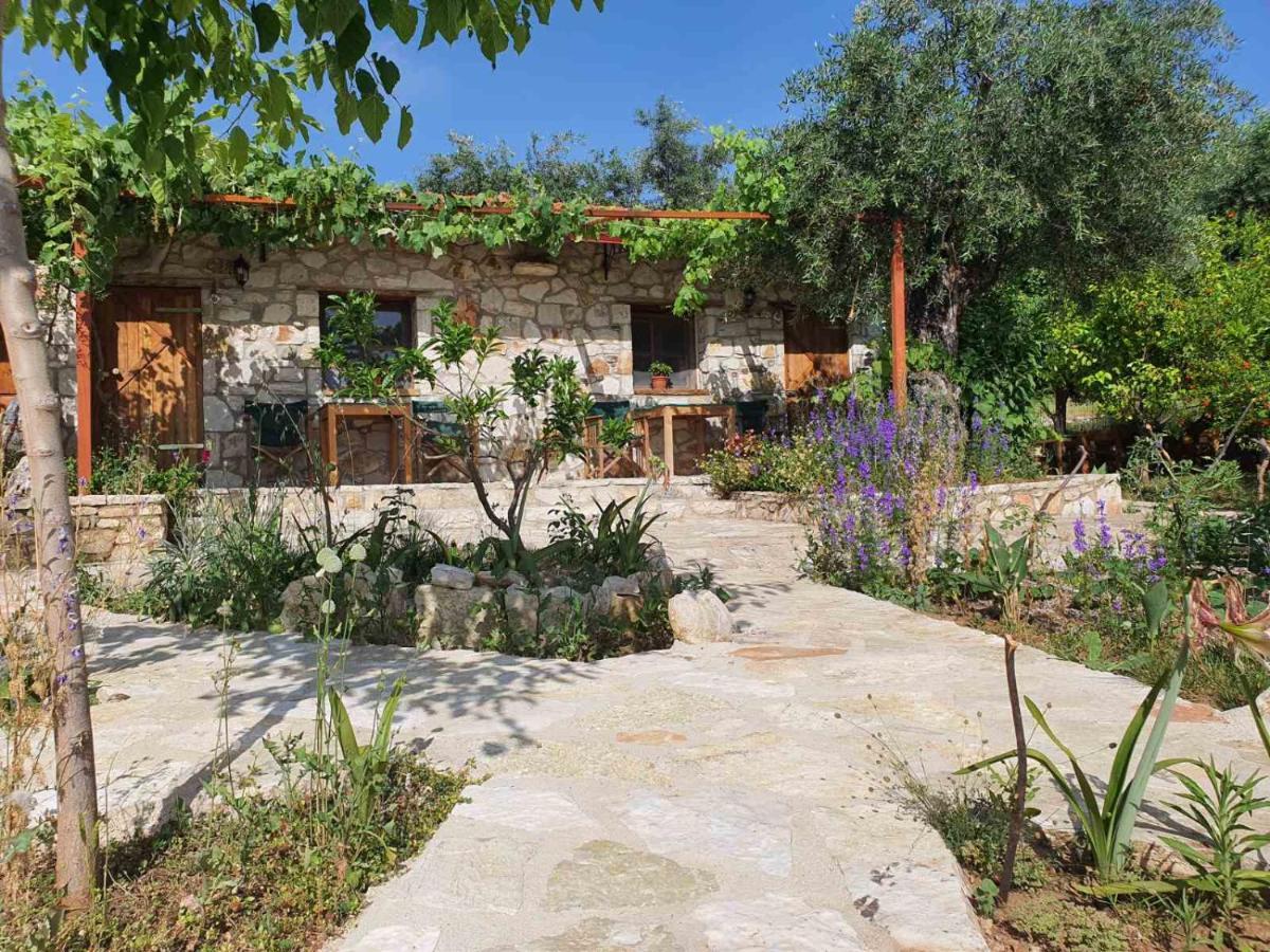 Filoxenia - The Place Of Experience Himare Luaran gambar